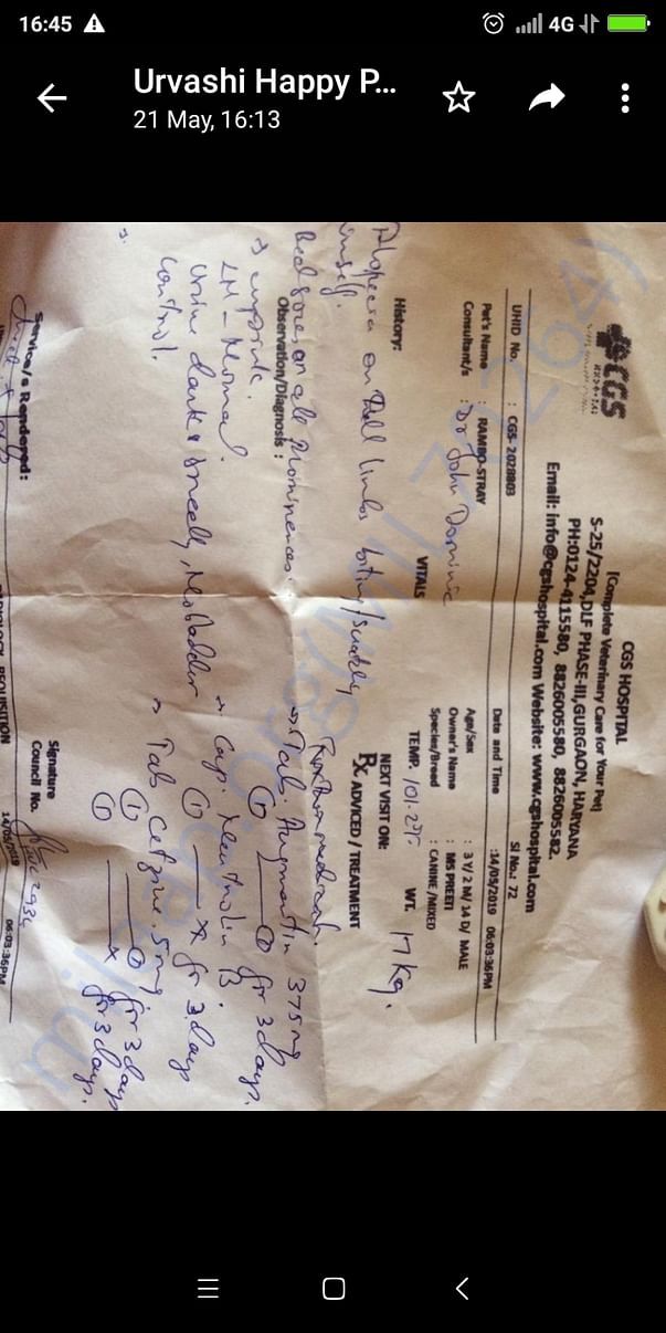 Rambo urine infection prescription