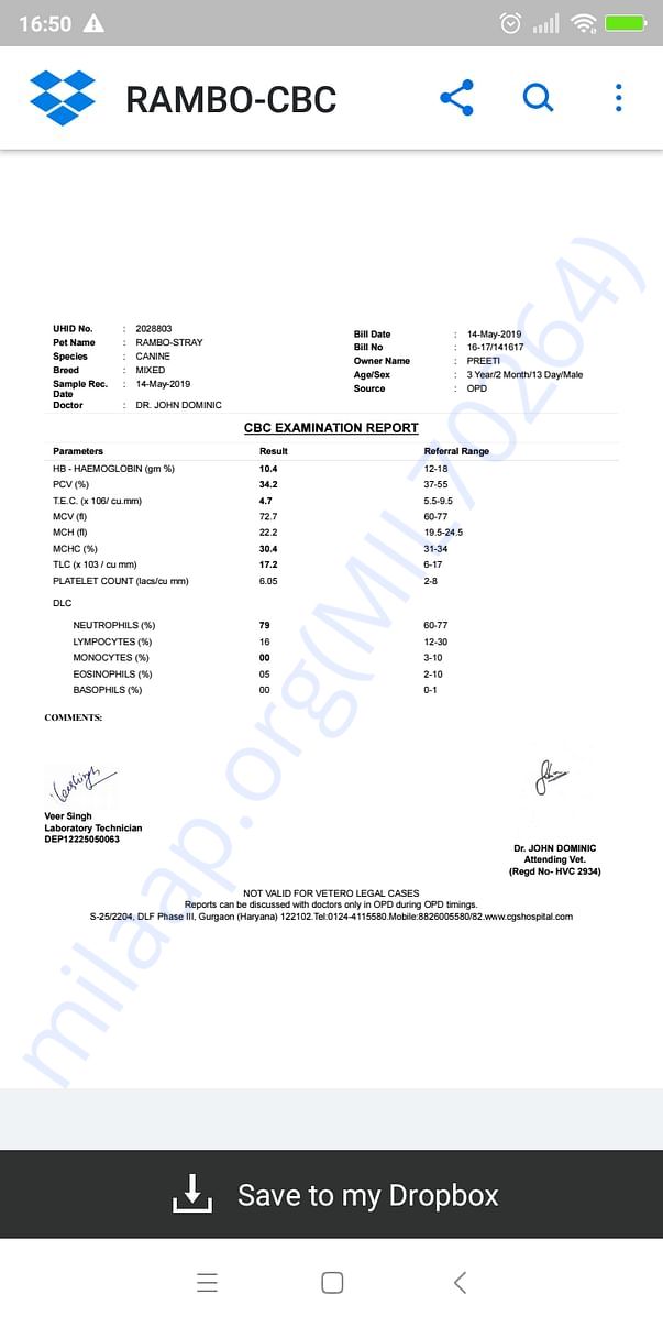 Test report