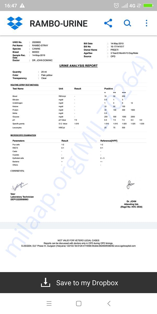 Test report 4