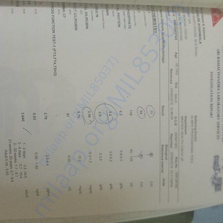 Medical Report
