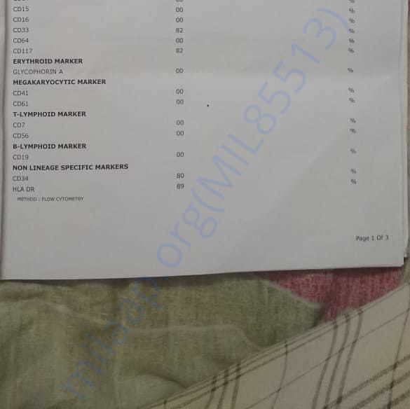 Medical Report