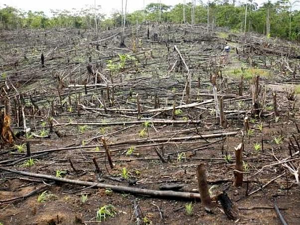 Help us to save Earth