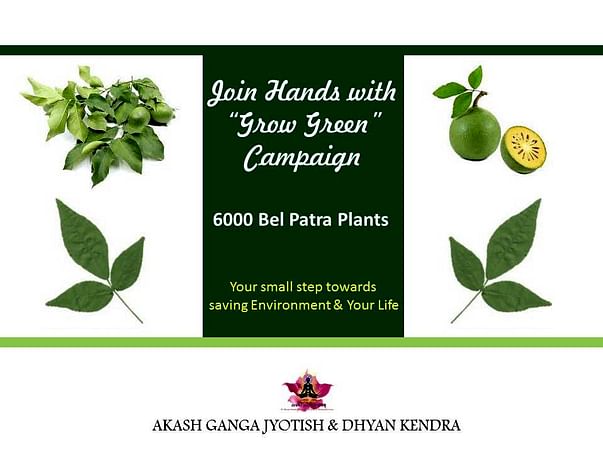 "GROW GREEN" Campaign- Save Environment