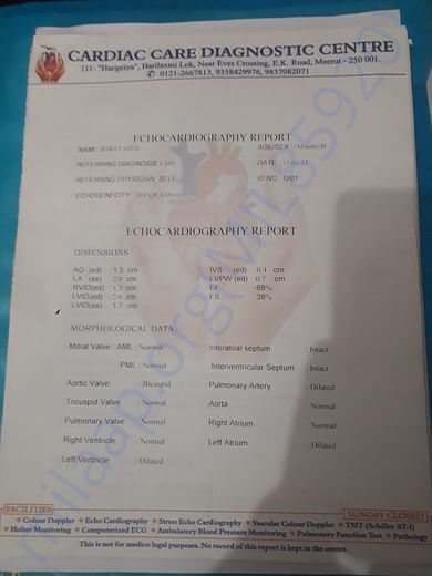 My reaport