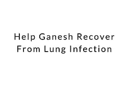 Help Ganesh Recover From Lung Infection