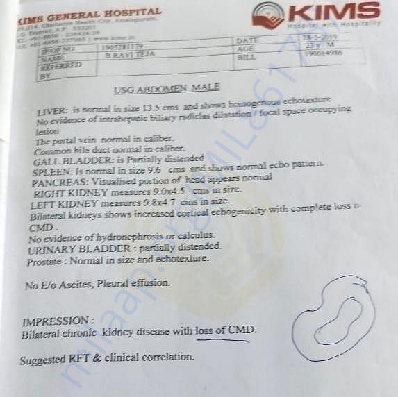 Medical Report