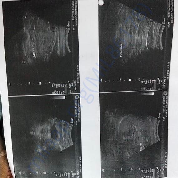 Medical Report