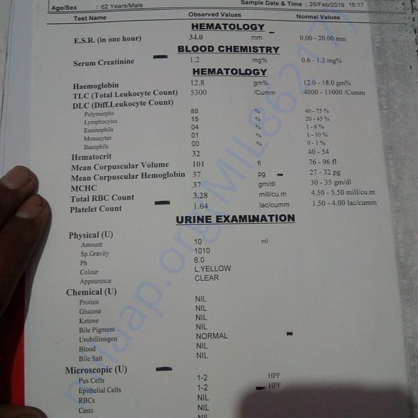 Medical Report