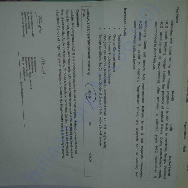 Medical Report