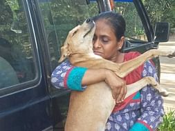 Help us for Animal Shelter