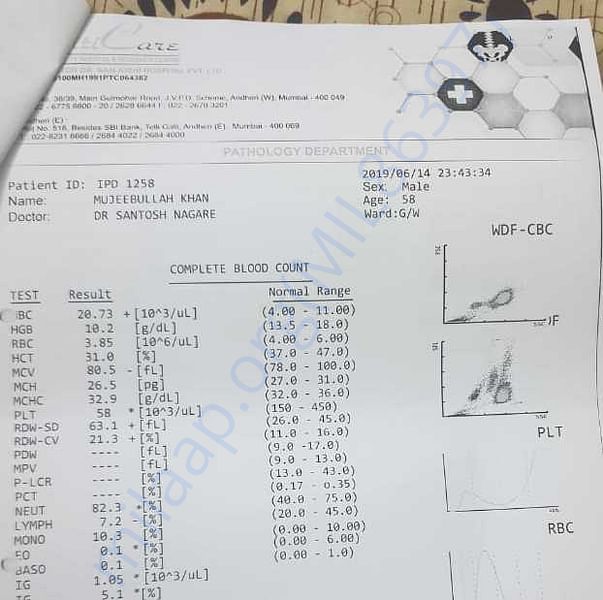 Medical Report