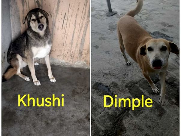 Help Dimple and Khushi have second chance at life