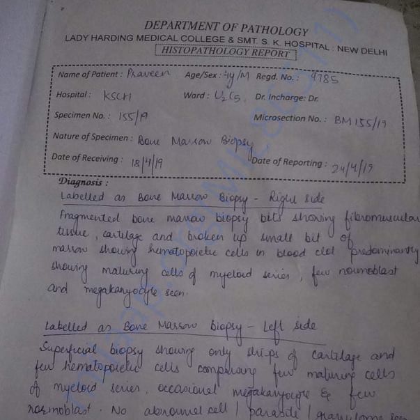 Medical Report