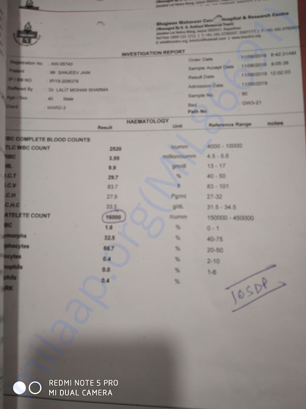 3 report
