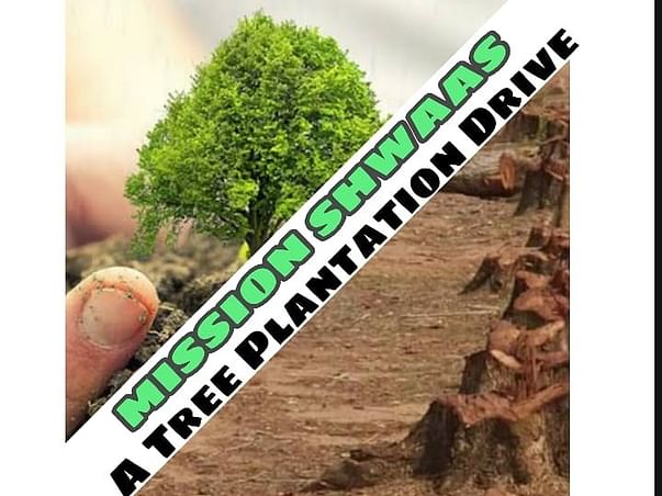 Plantation Drive