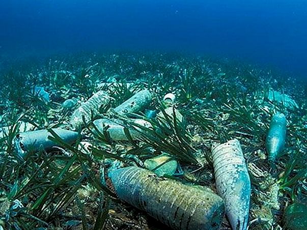 Save the ocean and Marine Life from plastic