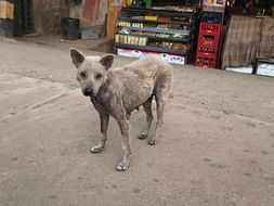 HELP ME FEED THE HUNGRY AND SAVE MORE LIVES
