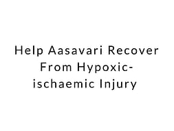 Help Aasavari for Hypoxic ischaemic injury