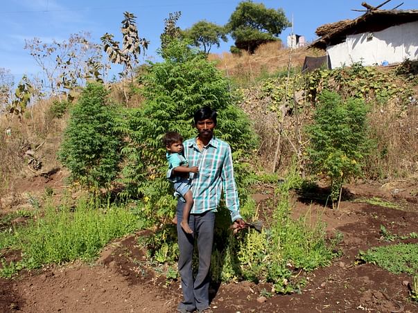 Gift vegetable gardens to 120 families with malnourished children.