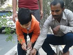 Sow Right, So Right! Urban Forest