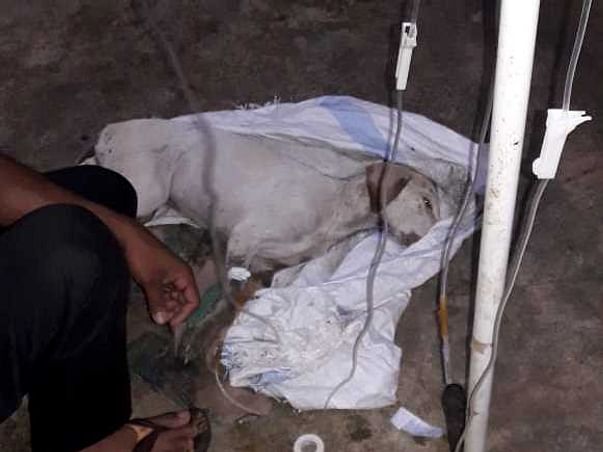Help Renu for a new life.