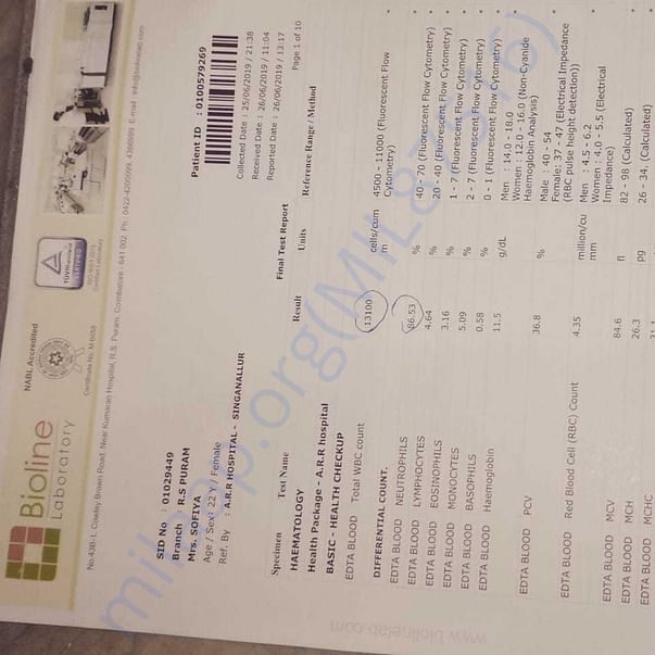 Medical Report