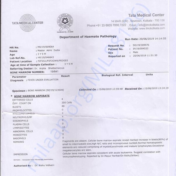 Medical Report