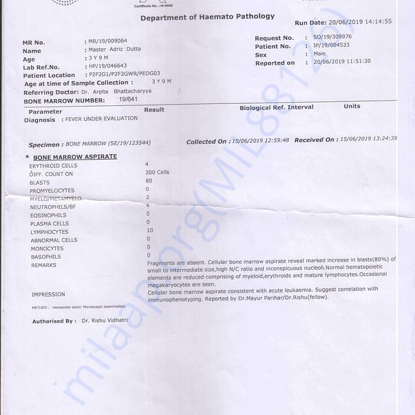 Medical Report