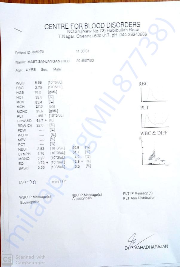 Blood tests for every two days. its just one of report
