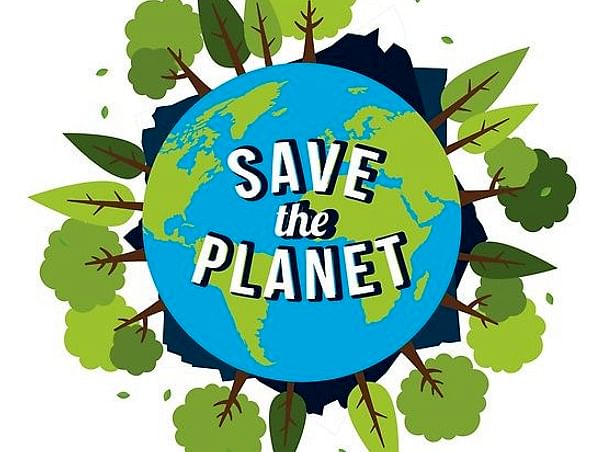 Have You Planted a TREE?