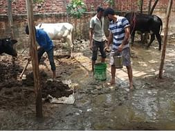 Save Animals from Flood and Rain. Help us in building their sheds.