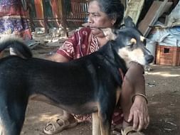 Help Renuka aunty to save 20 orphaned and abandoned dogs and cats!!