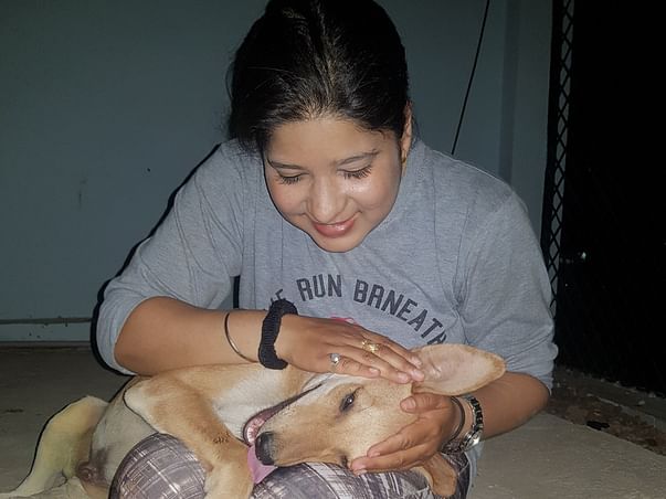 Support Animal welfare