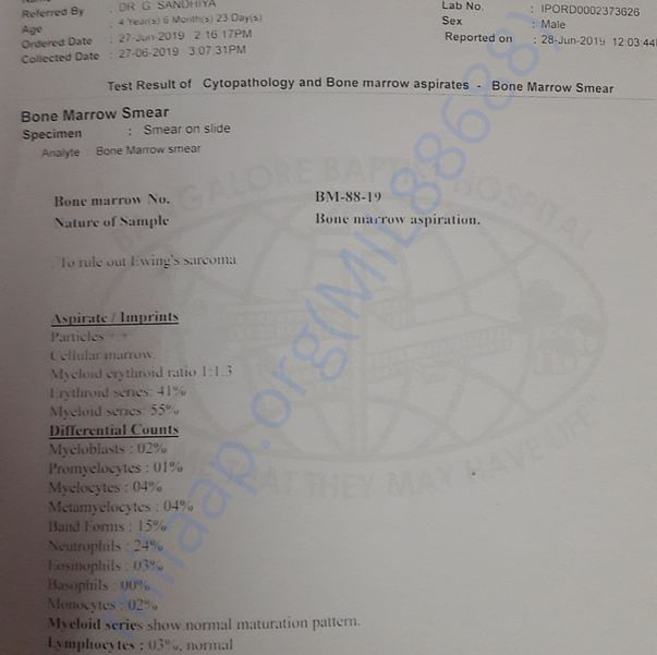 Medical Report