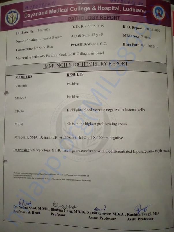 Ihc ki report