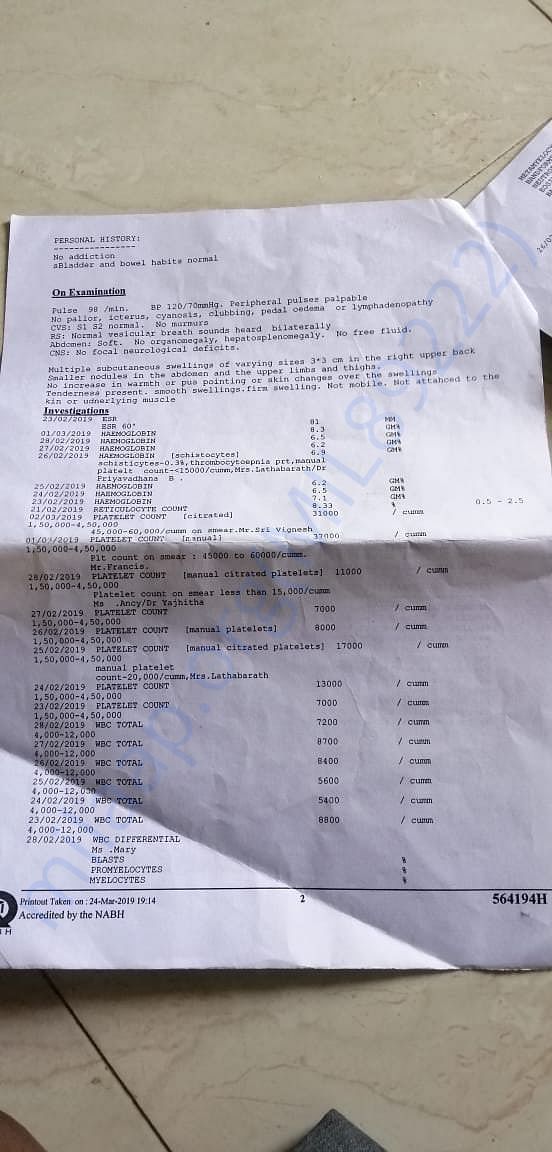 doctor report part 2