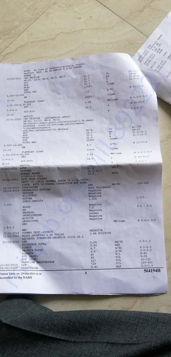 doctor report part 4