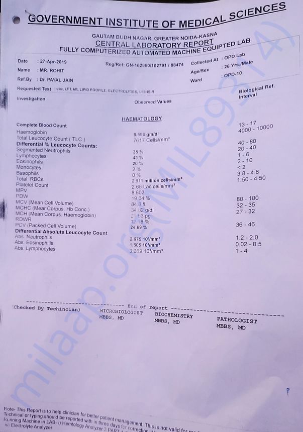 report 4
