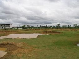 Lake Revival and Rejuvenation - Join hands with us and support