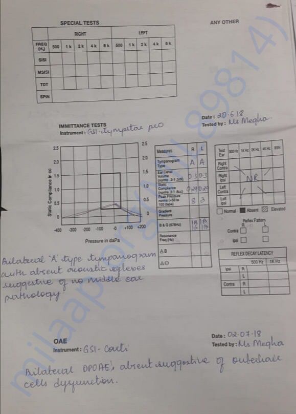 Hearing therapy report
