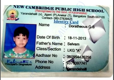 ID card of Dora