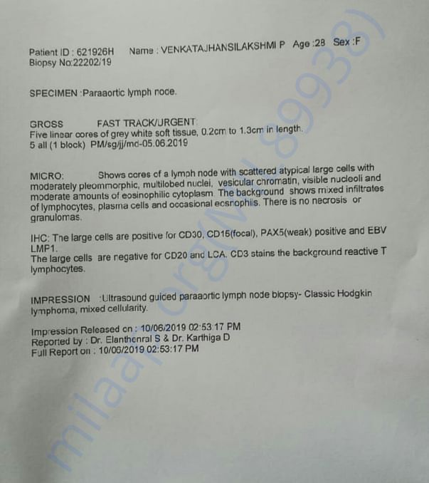 Lab Report