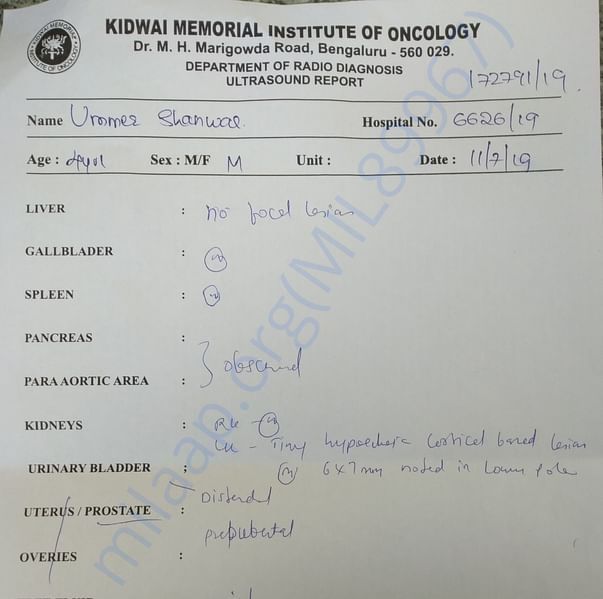 Medical Report