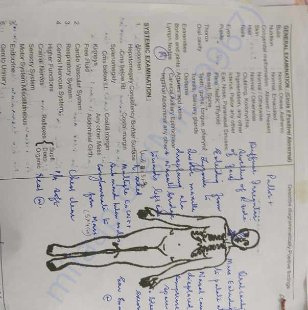 Medical Report