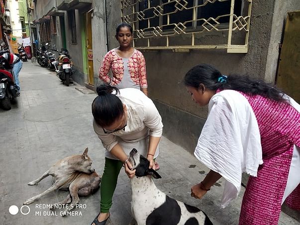 Join Me To Support Stray Dogs