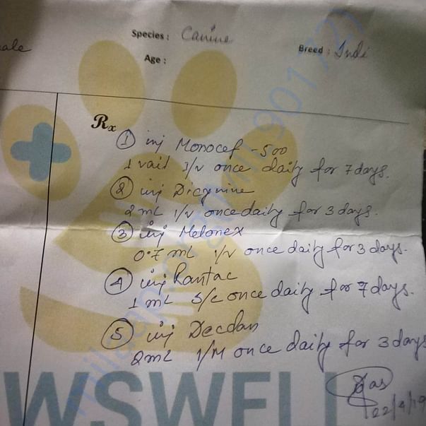 Medical Report