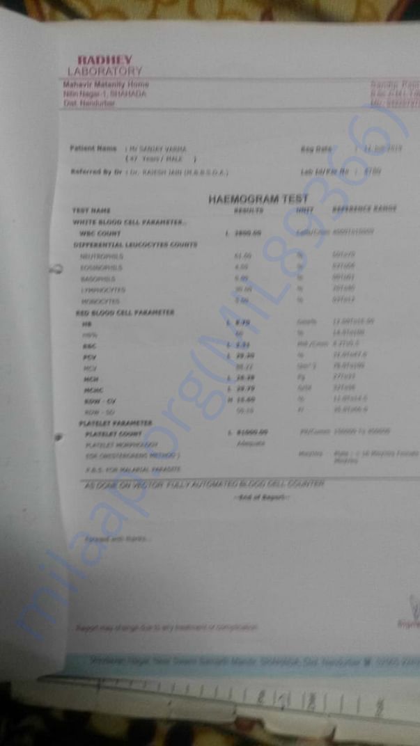 Blood Report