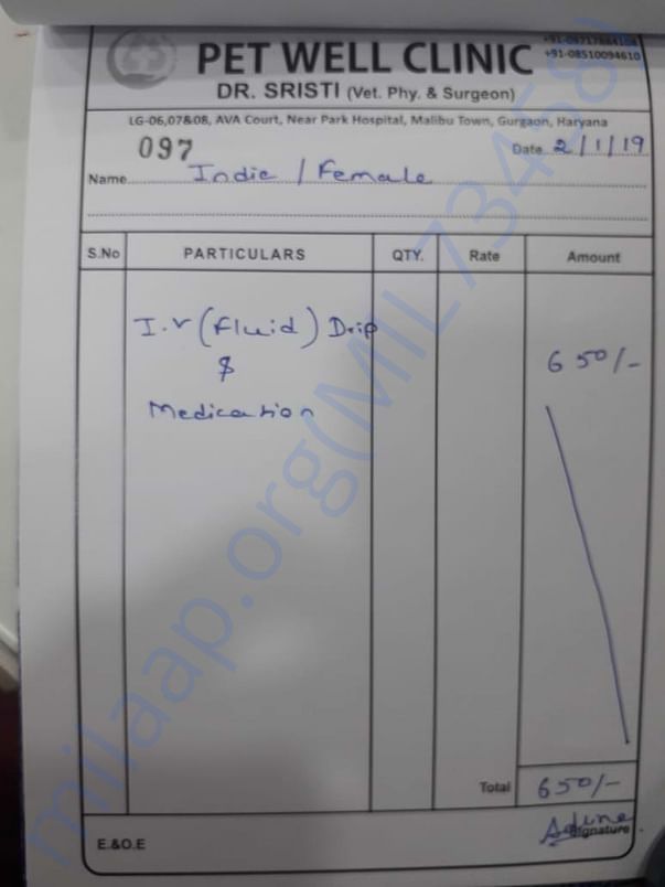 Medical bill (Poppy was previously named Angie)