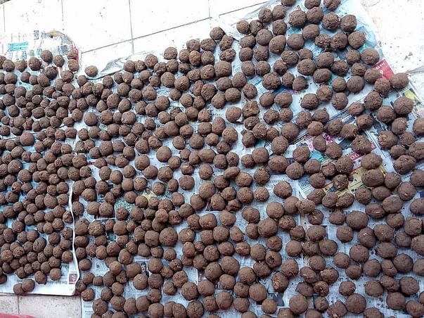 Project One Lakh Seed Bombing in Aravalis