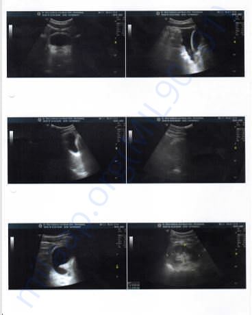 Scan Report